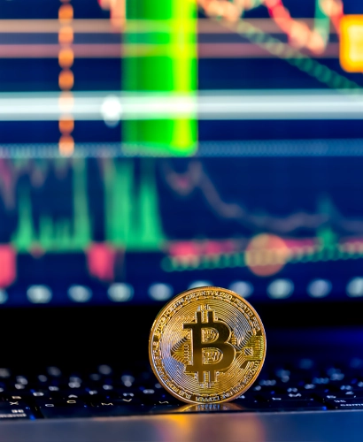 LuvirexBit Informazioni sul Trading